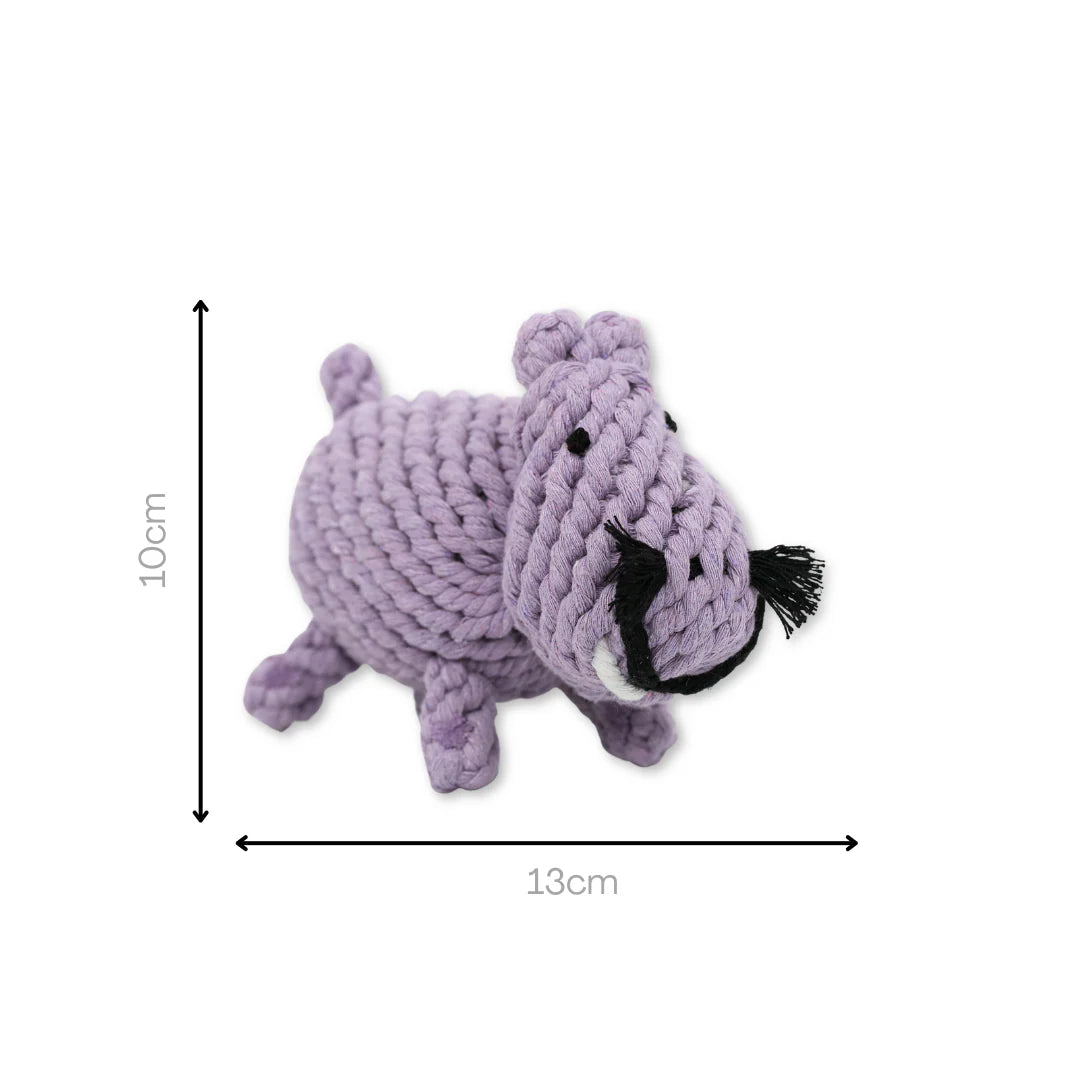 Purple Hippo rope toy