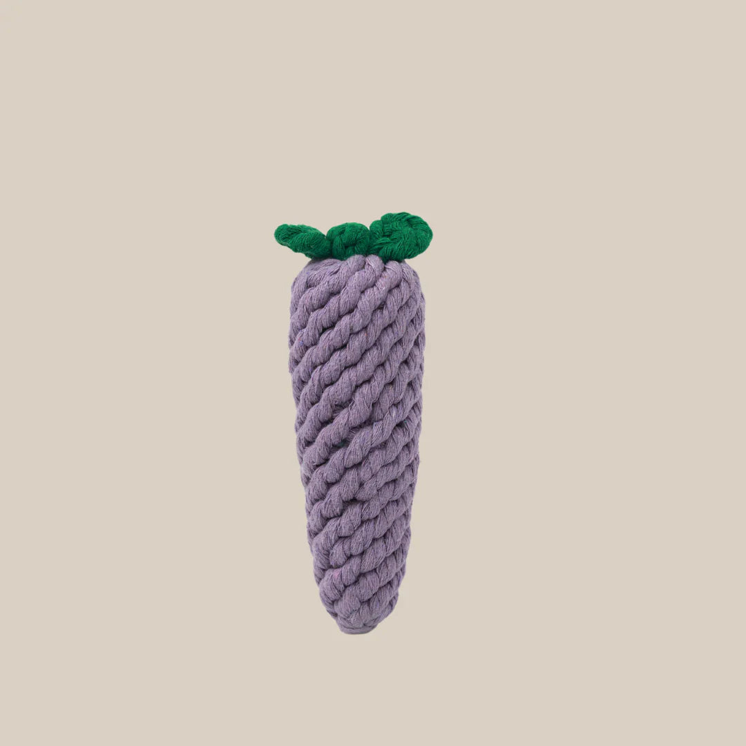 Egglpant rope toy