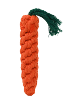 Chewing Carrot Rope Toy