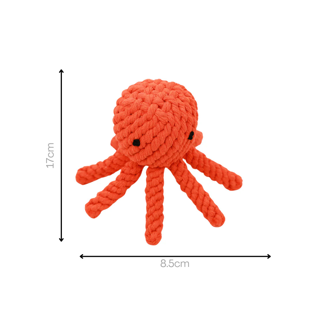 Octopus rope toy