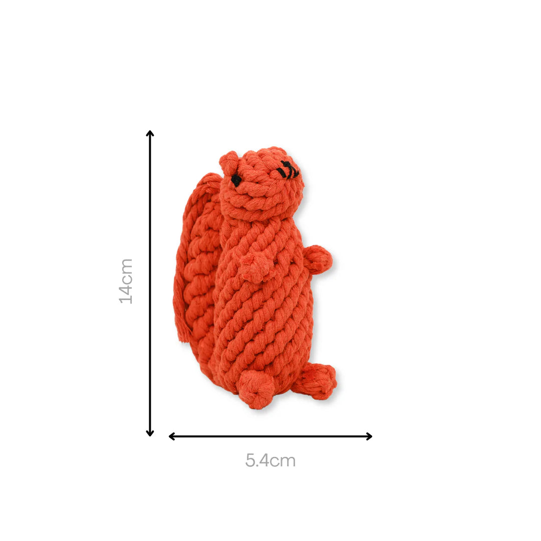 Small Orange Squirrel rope toy